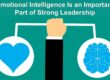 Emotional Intelligence in Leadership